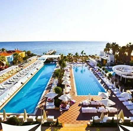 Q Premium 4*