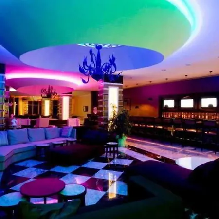 Q Premium オクルカラール