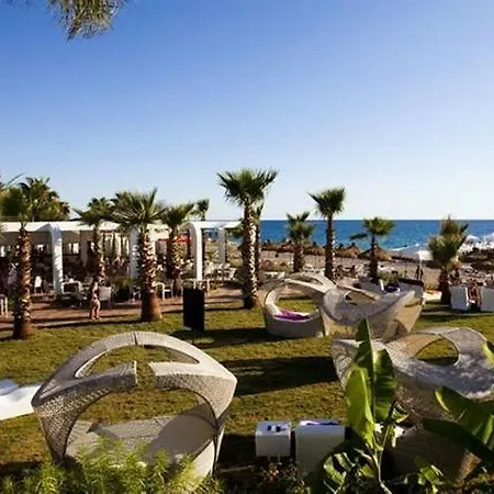 Q Premium オクルカラール